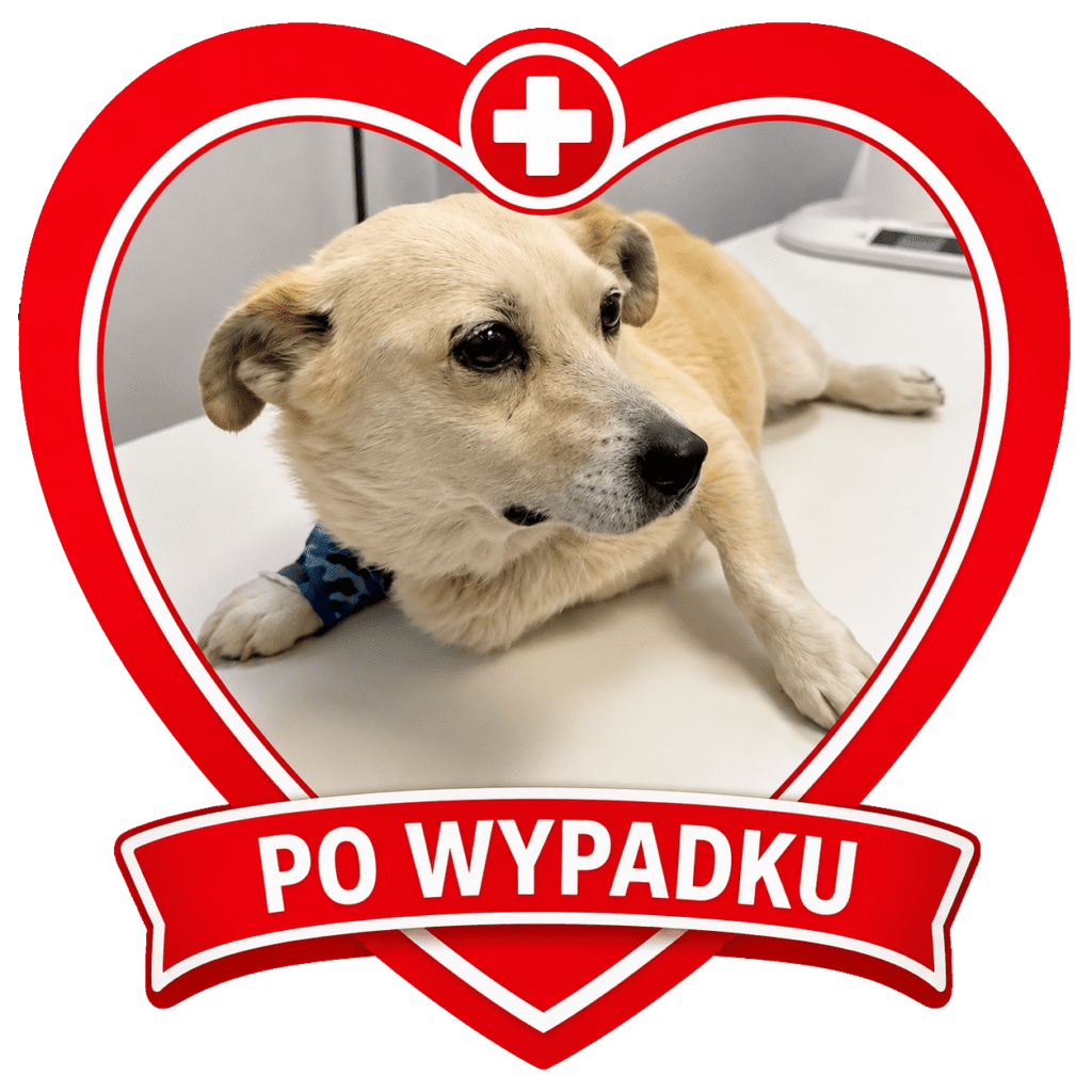 Paproszek